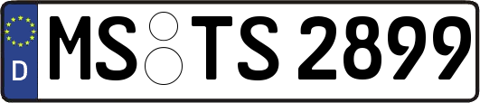 MS-TS2899