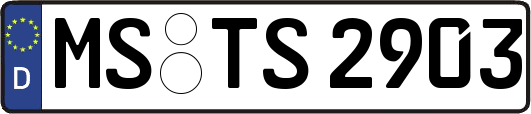 MS-TS2903
