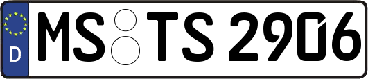 MS-TS2906