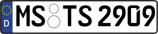 MS-TS2909