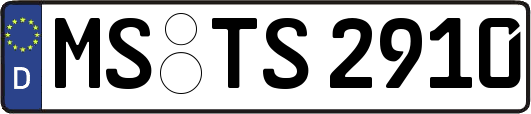 MS-TS2910