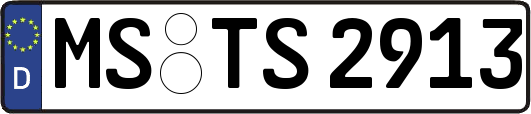 MS-TS2913