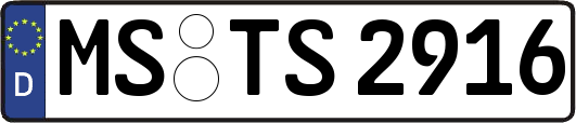MS-TS2916