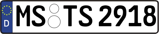 MS-TS2918
