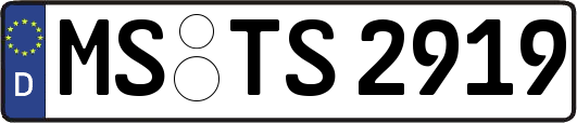 MS-TS2919
