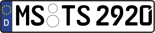 MS-TS2920