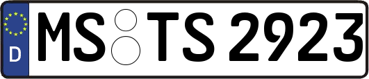 MS-TS2923