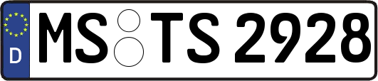 MS-TS2928