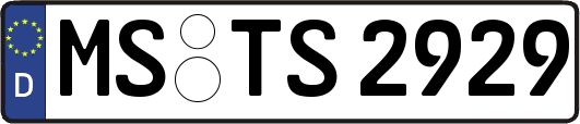 MS-TS2929