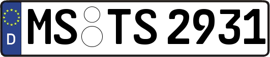 MS-TS2931