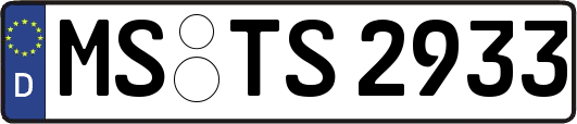 MS-TS2933
