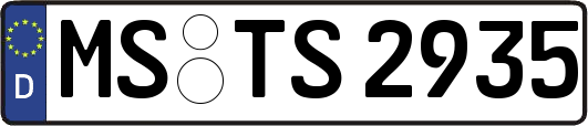 MS-TS2935