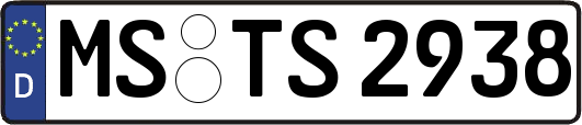 MS-TS2938