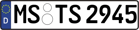 MS-TS2945