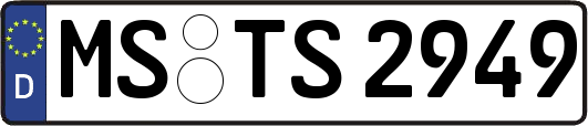 MS-TS2949