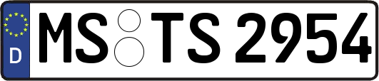 MS-TS2954