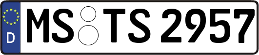 MS-TS2957