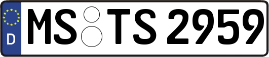 MS-TS2959