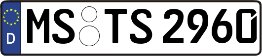 MS-TS2960