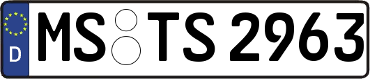 MS-TS2963