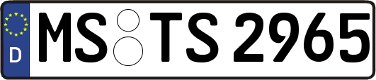 MS-TS2965