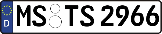 MS-TS2966