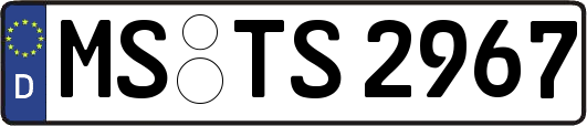 MS-TS2967