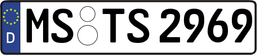 MS-TS2969