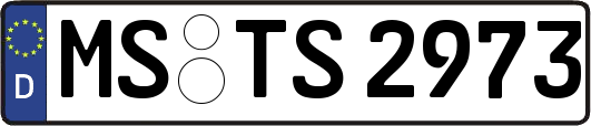 MS-TS2973