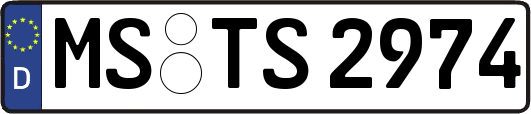 MS-TS2974