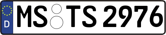 MS-TS2976