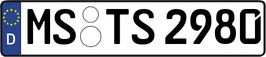 MS-TS2980