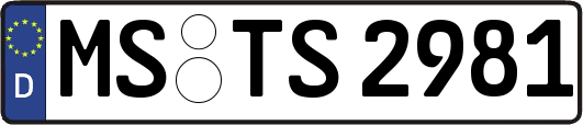 MS-TS2981