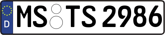 MS-TS2986