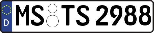 MS-TS2988