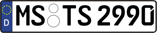 MS-TS2990