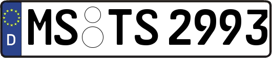 MS-TS2993