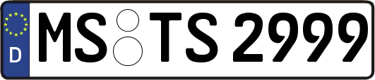 MS-TS2999