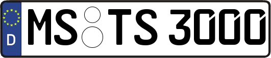 MS-TS3000