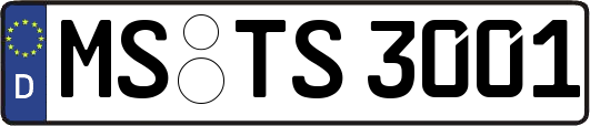 MS-TS3001