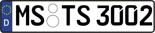 MS-TS3002