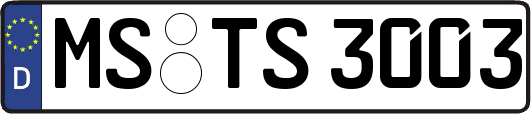 MS-TS3003