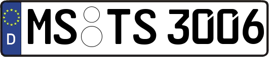 MS-TS3006
