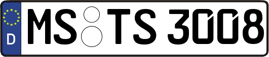 MS-TS3008
