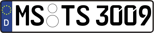 MS-TS3009
