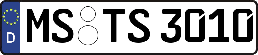 MS-TS3010