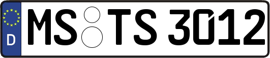 MS-TS3012