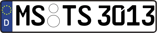 MS-TS3013