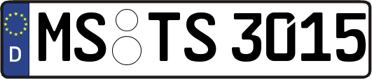 MS-TS3015