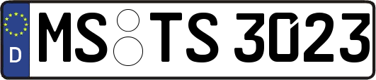 MS-TS3023